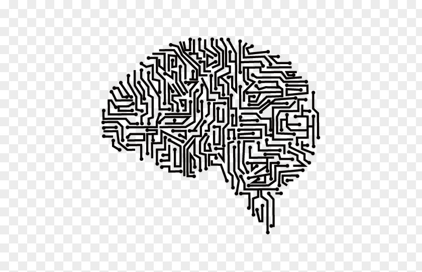 Vector Hand-drawn Brain Human Digital Revolution Agy Artificial Intelligence Cerebrum PNG