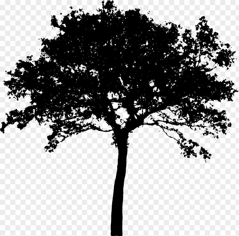 Bush Silhouette Tree Clip Art PNG