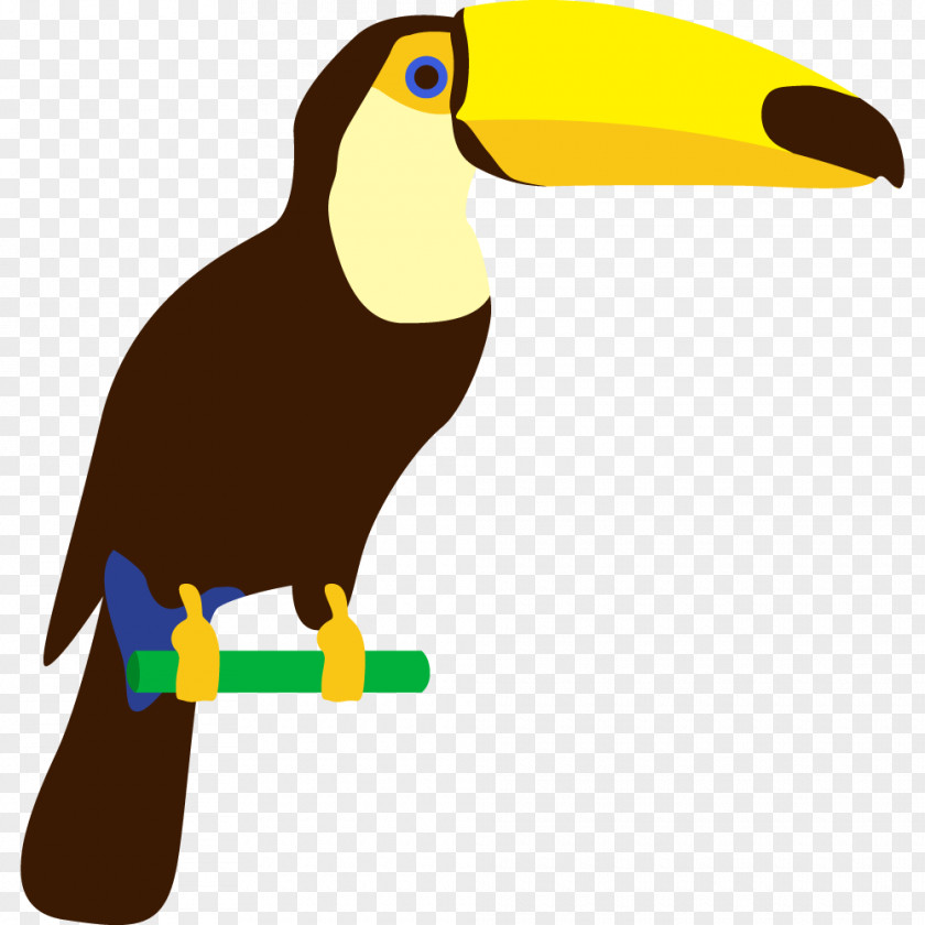 Cartoon Animal Parrot Amazon Toucan Clip Art PNG