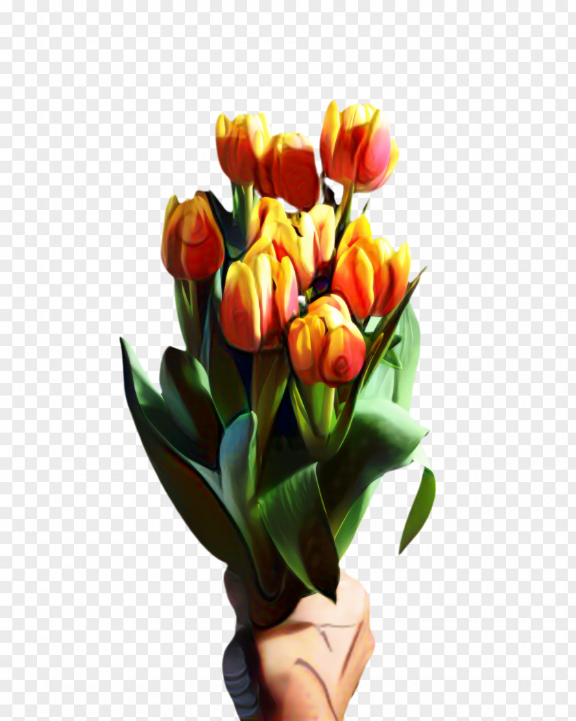 Crocus Floristry Lily Flower Cartoon PNG