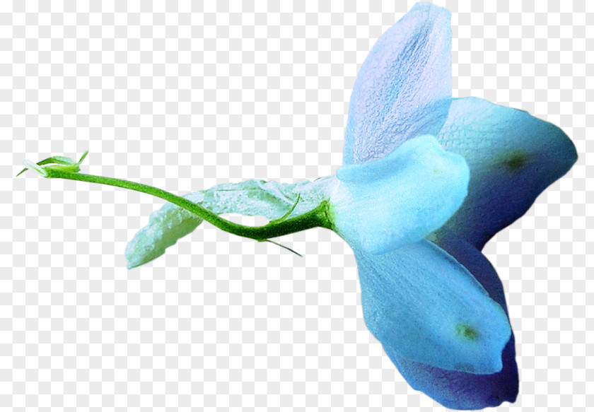 Flower Blue Pollinator Clip Art PNG