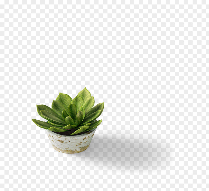 Flower Pot Digital Agency Marketing Corporate Image Identity PNG