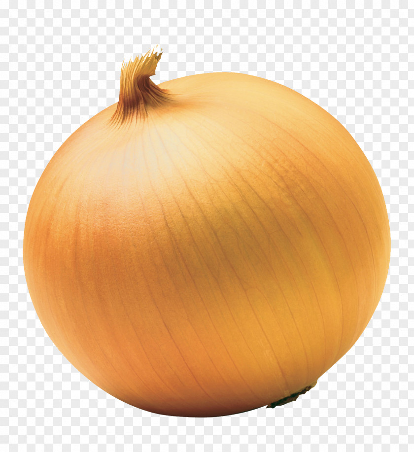 Onion Red Yellow White Sweet PNG