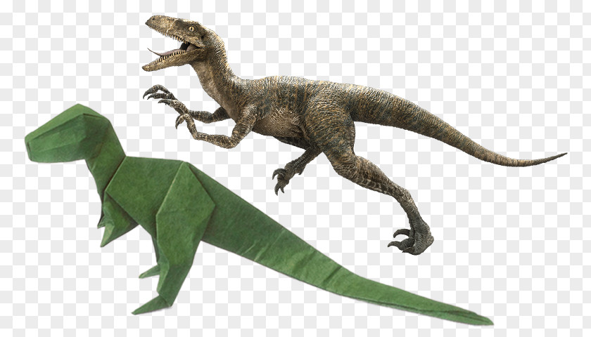 RaptorS Velociraptor Tyrannosaurus Dinosaur Dilophosaurus Origami PNG