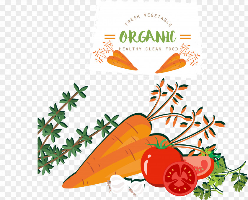 Vegetable Food Fruit Tomato Carrot PNG