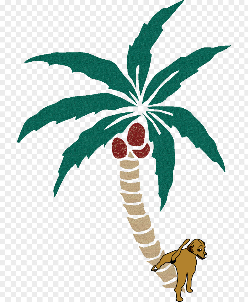 Coconut Arecaceae Tree Clip Art PNG