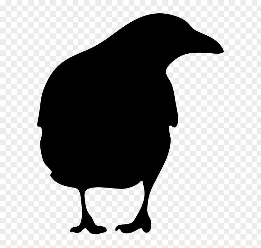 Crow American Common Raven Clip Art PNG