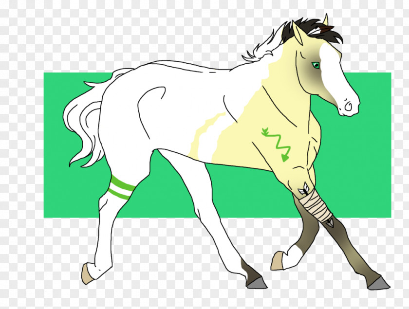 Painted Animals Mane Stallion Mustang Mare Colt PNG