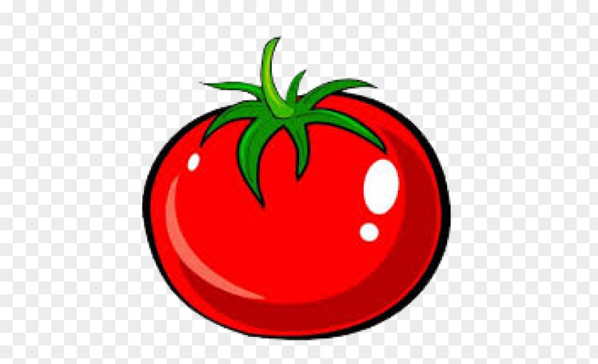 Tomato Drawing Vegetable Clip Art PNG