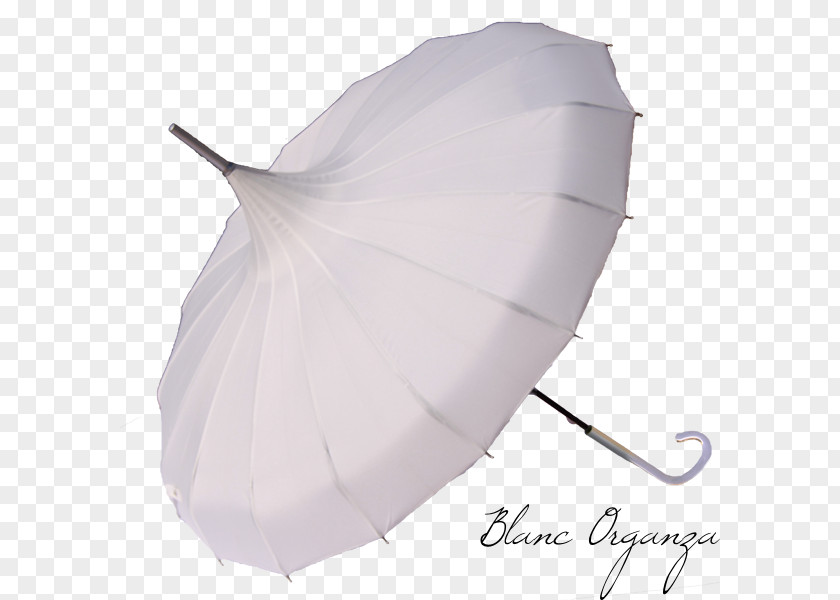 Umbrella Marriage Mariage Blanc Ombrelle White PNG