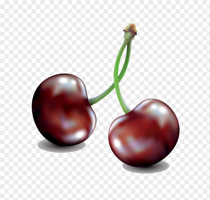 Vector Hand-painted Crystal Cherry Drawing Illustration PNG