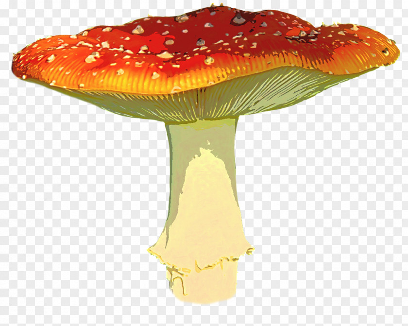 Fly Agaric Image Clip Art Stock.xchng PNG