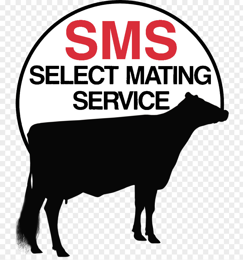 Mating SMS Customer Service Holstein Friesian Cattle PNG