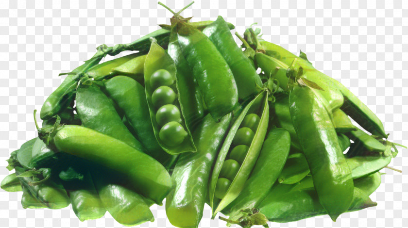 Serrano Pepper Hyacinth Bean Vegetable Cartoon PNG