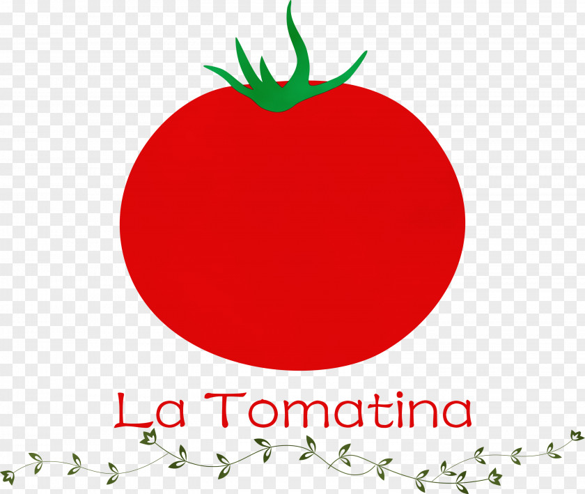 Tomato PNG