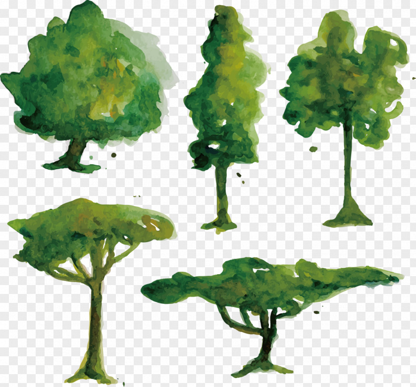 Vector Hand-painted Watercolor Tree PNG