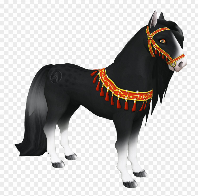 Black Anglo Arab Horses Arabian Horse Show Stallion Mustang Pony PNG