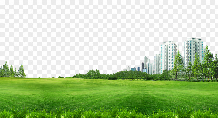 Building Material Pull Grass Background Free Lawn Wallpaper PNG