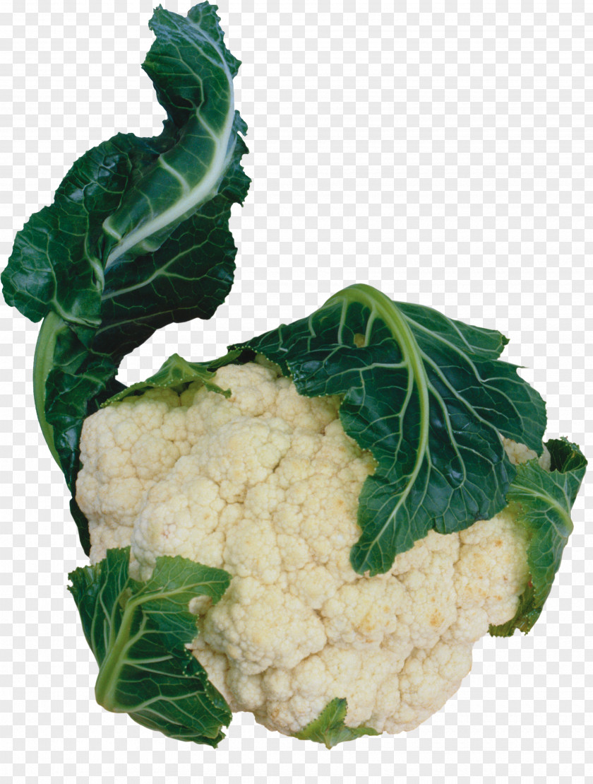Cauliflower Vegetarian Cuisine Red Cabbage Vegetable Spring Greens PNG