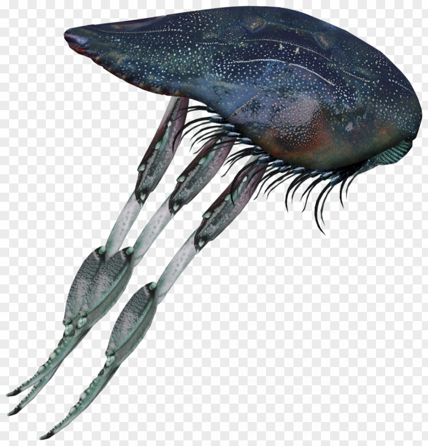 Creatures Moloch Insect Monster Marine Biology PNG