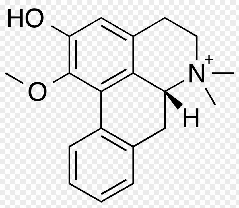 Dimethylamine Morphine Opioid Use Disorder Codeine Structure PNG