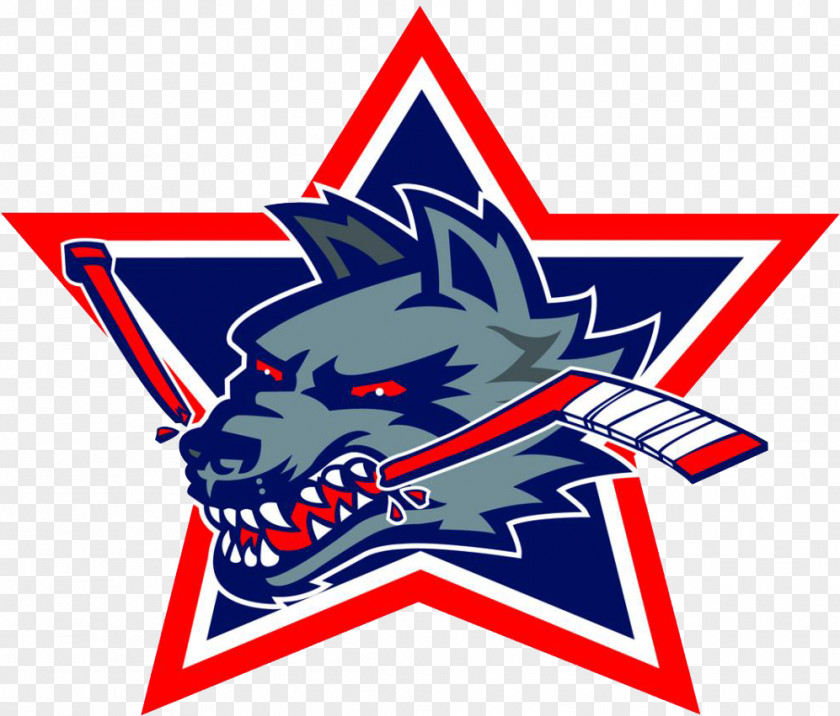 Hockey Glace Yonnais Hartford Wolf Pack American League Western Chicago Wolves Ice PNG