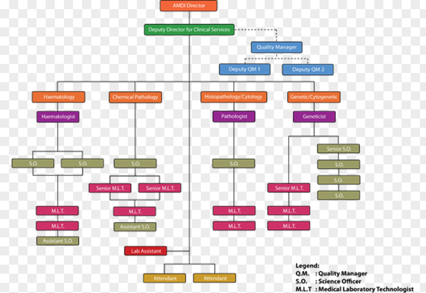 Organizational Chart Structure Non-profit Organisation Health Care PNG