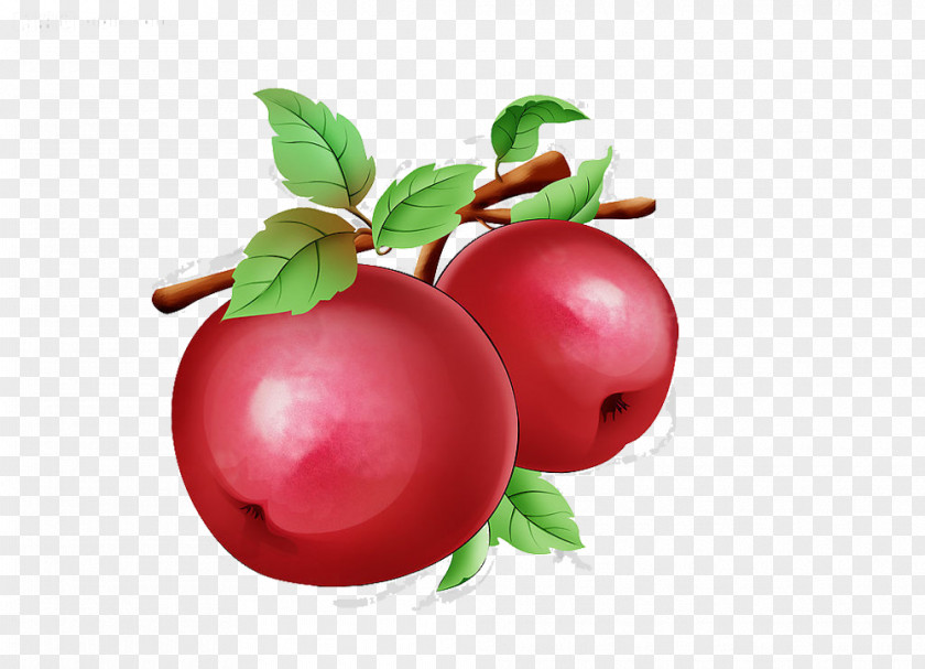 Painted Red Apple Picture Material Barbados Cherry Auglis PNG