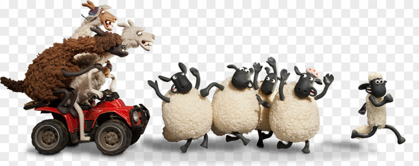 Ruth The Sheep Shaun とうに夜半を過ぎて Llama Flightless Bird Cat PNG