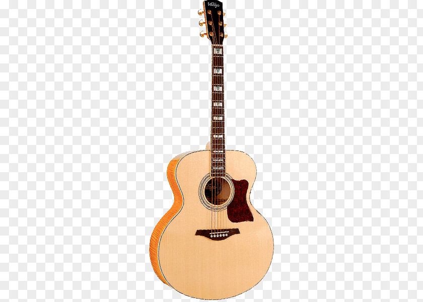 Acoustic Guitar C. F. Martin & Company Dreadnought Acoustic-electric PNG