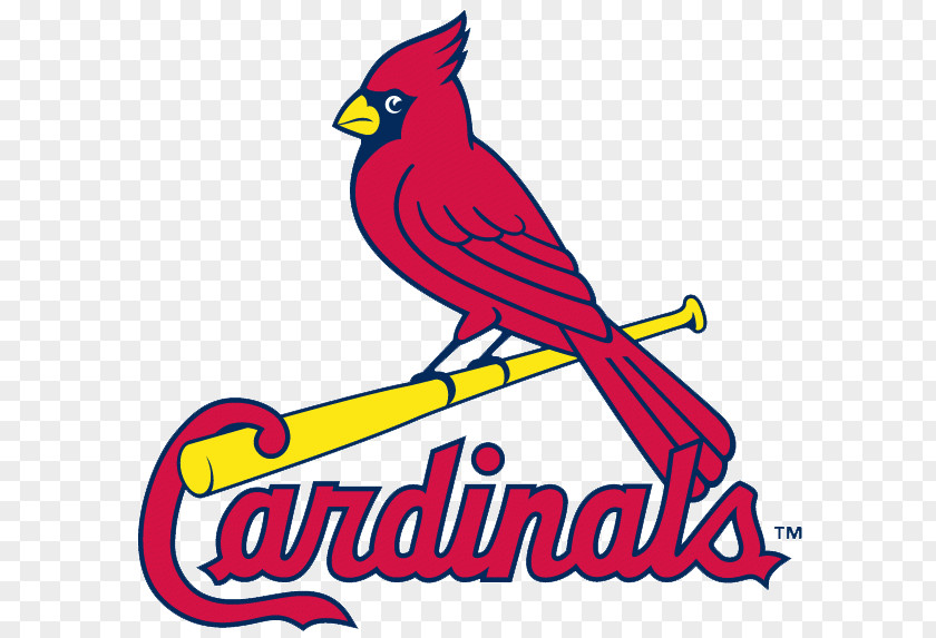Baseball St. Louis Cardinals Clip Art Blues Vector Graphics PNG
