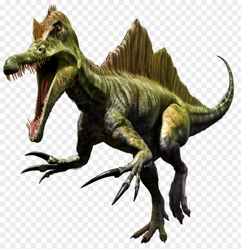 Dinosaur Spinosaurus Tyrannosaurus Image PNG