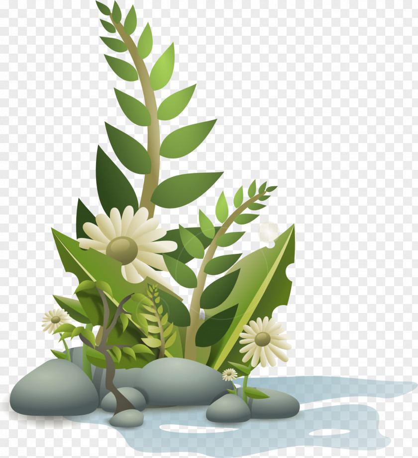 Flowers Vector Plant Clip Art PNG