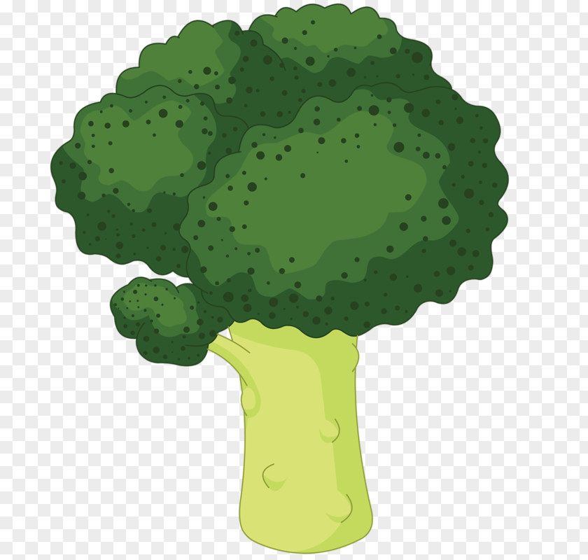 Hand-painted Cartoon Cauliflower Broccoli Royalty-free Clip Art PNG