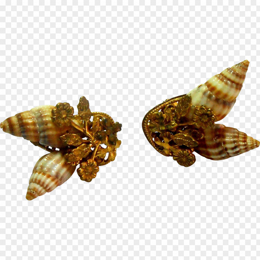 Moth Jewellery Insect PNG