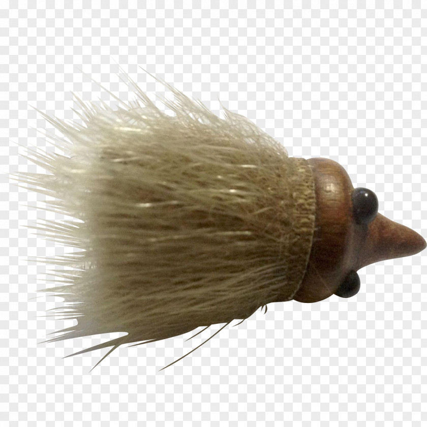 Over The Hedge Skunk Shave Brush Echidna Shaving PNG