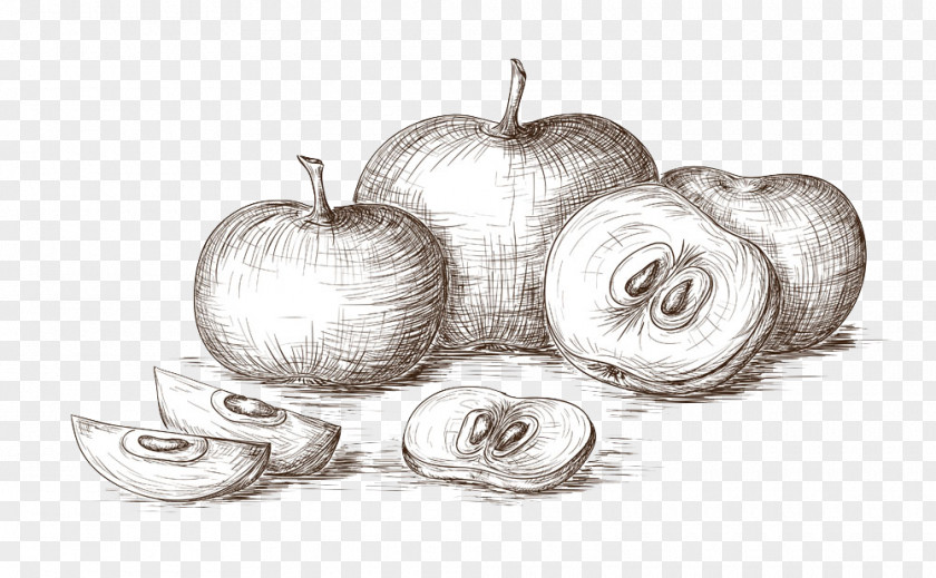 Painted Apple PNG