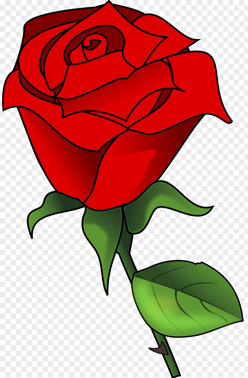 Rose Vector Clip Art PNG