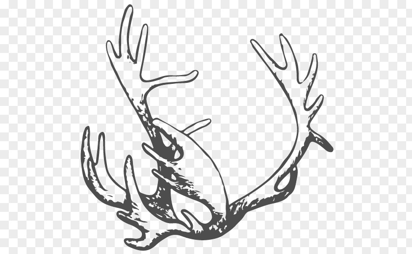 Samer Poster Pello Deer Drawing /m/02csf Clip Art PNG