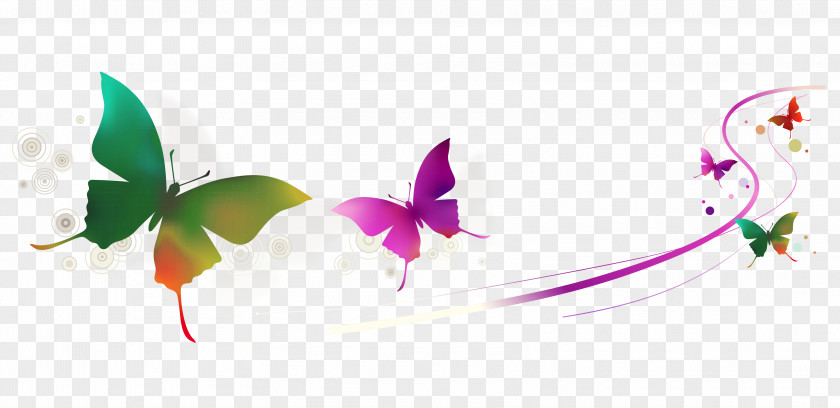 Vector Colorful Butterfly Euclidean PNG