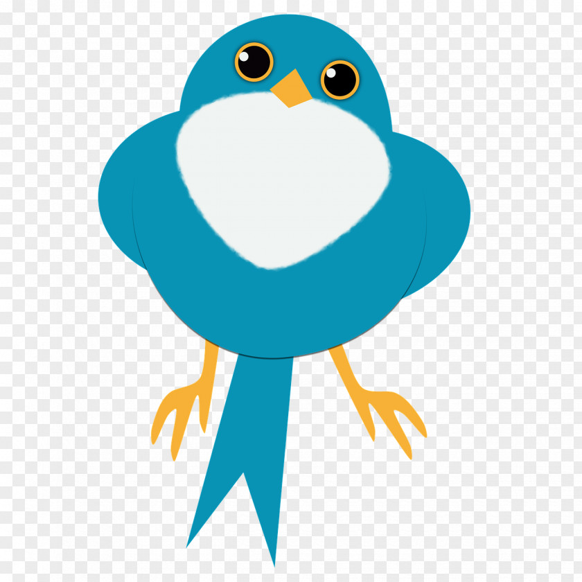 Bird Clip Art Image Pixabay PNG
