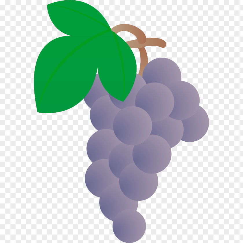 Cartoon Grapes Grape Drawing PNG