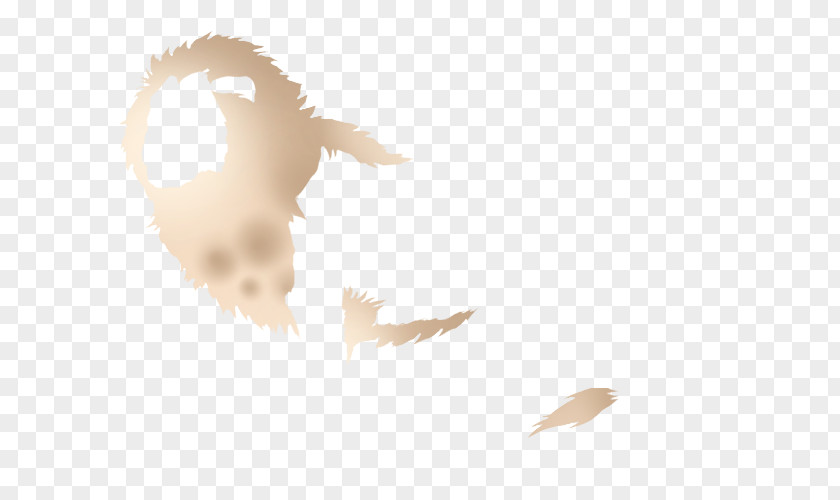 Ethereal Bird Feather Wing Beak Skin PNG