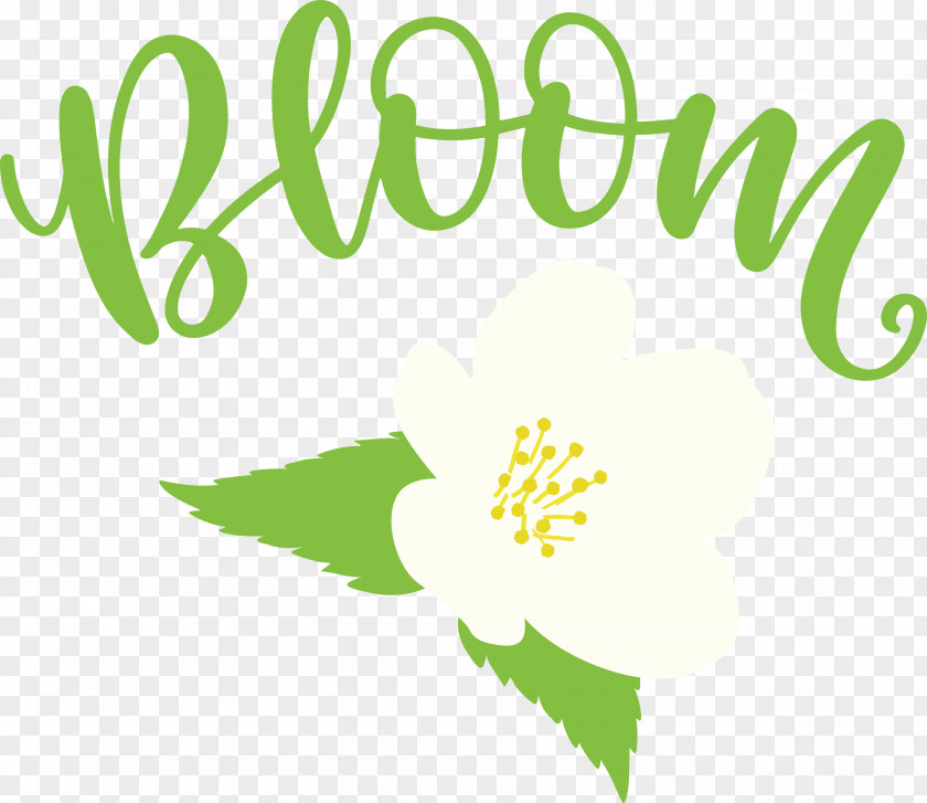 Bloom Spring Flower PNG