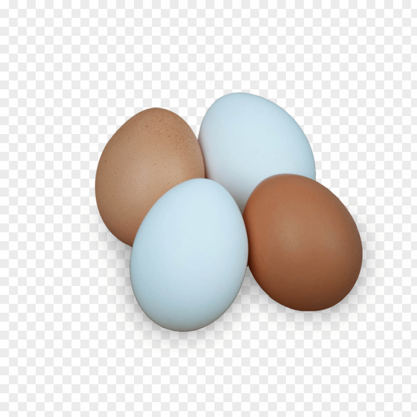 Egg White PNG