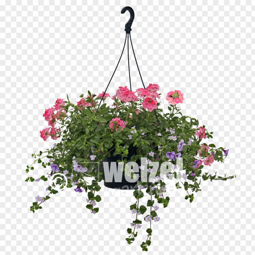 Flower Vervain Floral Design Flowerpot PNG