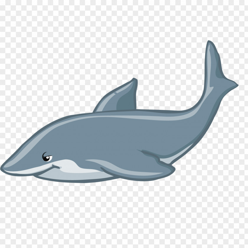 Love Dolphin Whale PNG