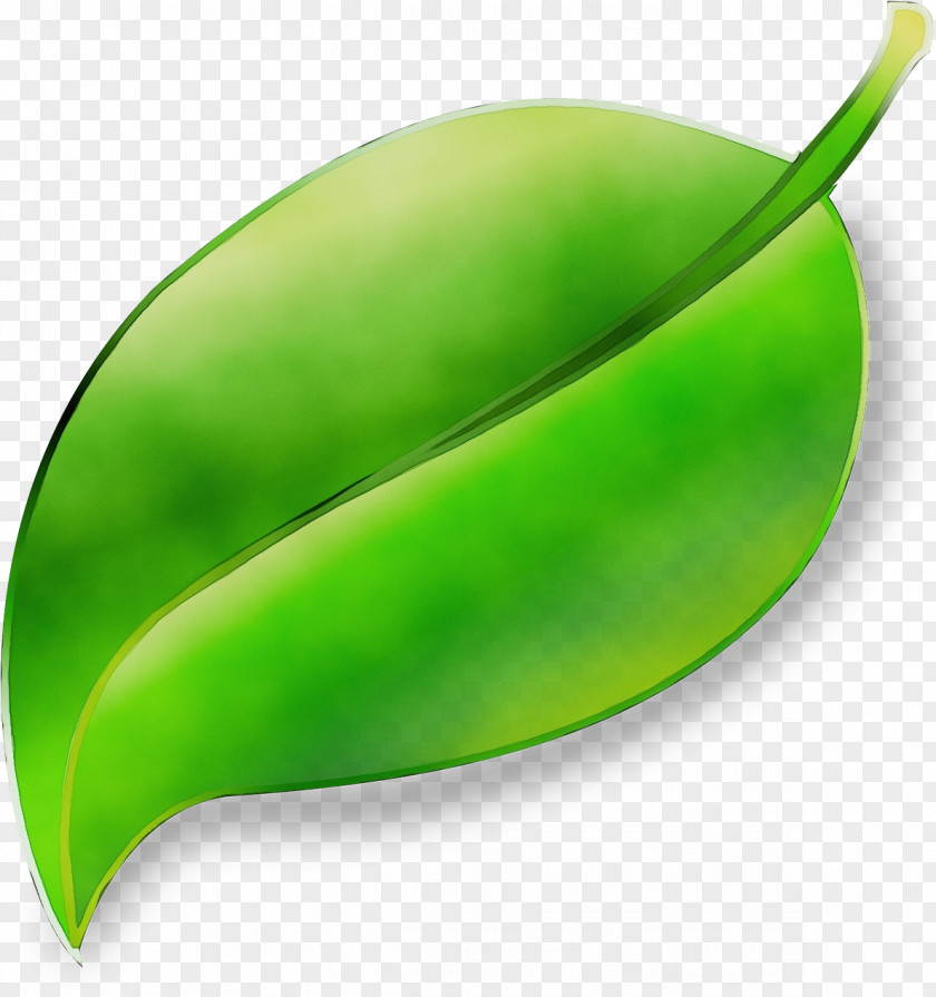 Pea Fruit Green Leaf Plant Legume Vegetable PNG