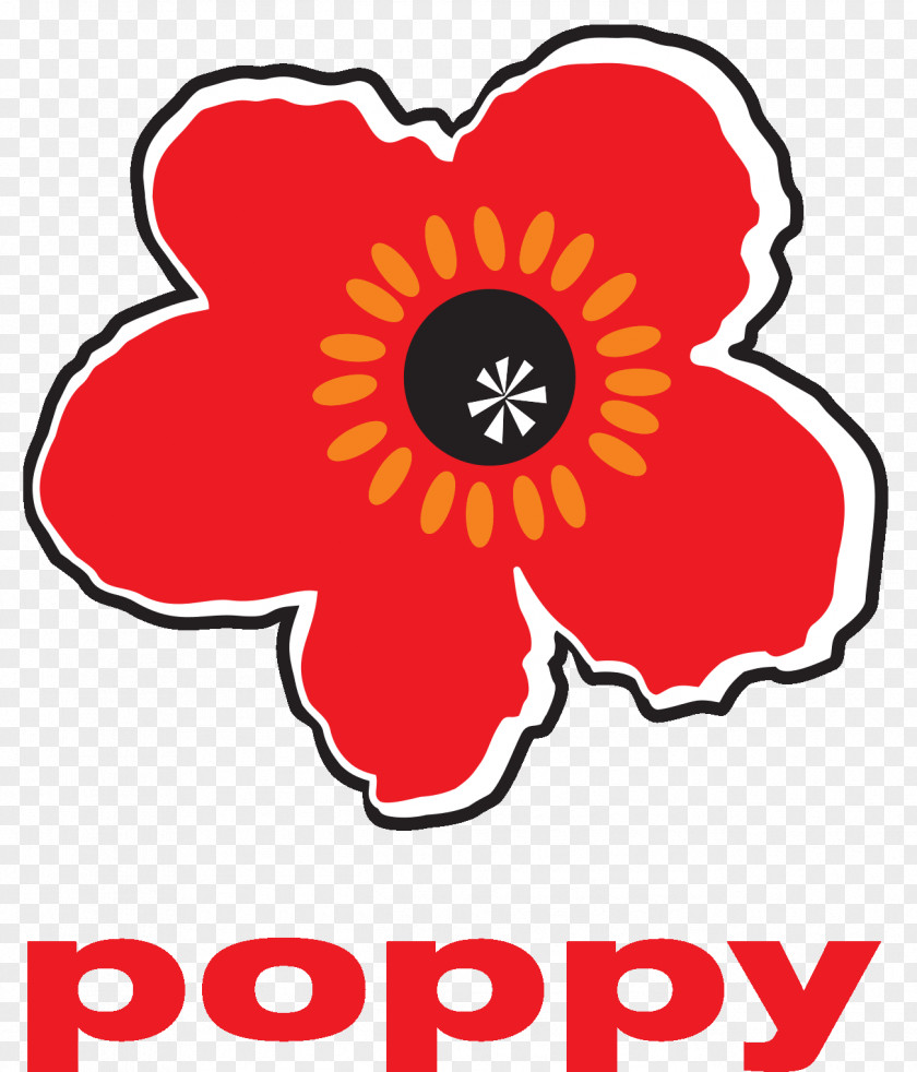 Poppy Remembrance Hachette Book Group The Clique PNG