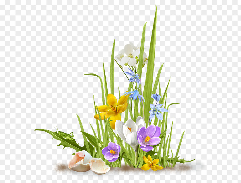 Spring Grass Flower Desktop Wallpaper Clip Art PNG